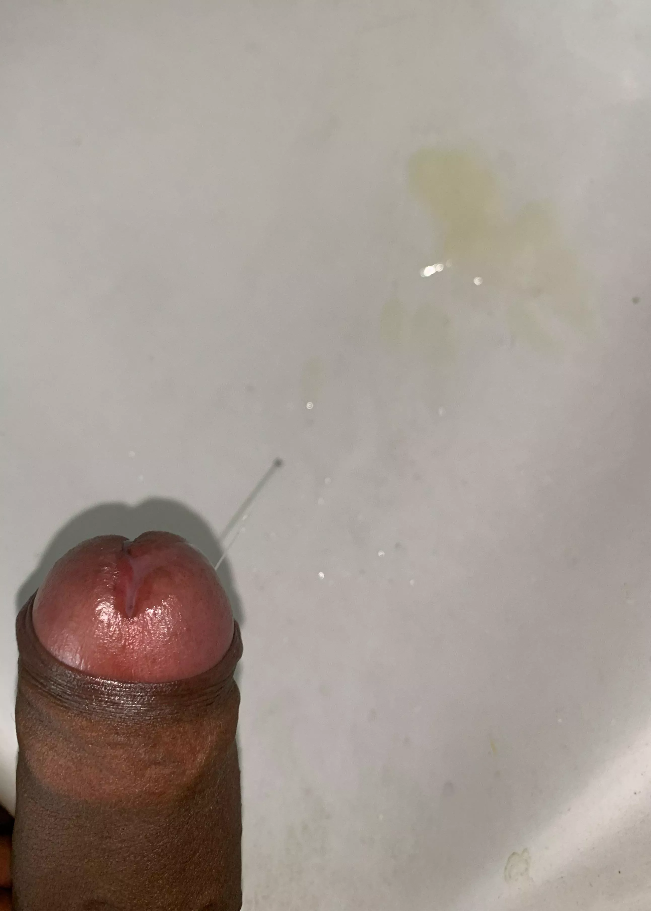 Morning  posted by SuperAd5467