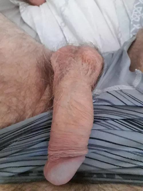 Penis by Important-Afternoon2