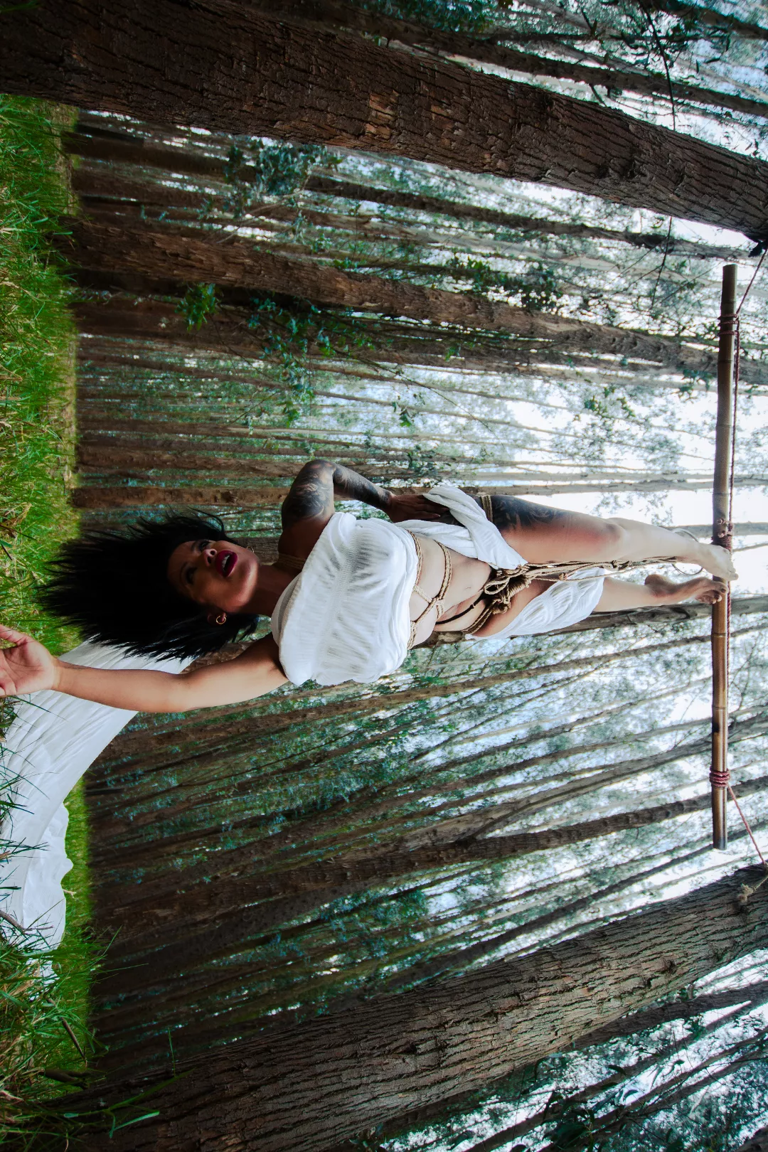 Rope, nature and perspective. posted by RunWorried5680