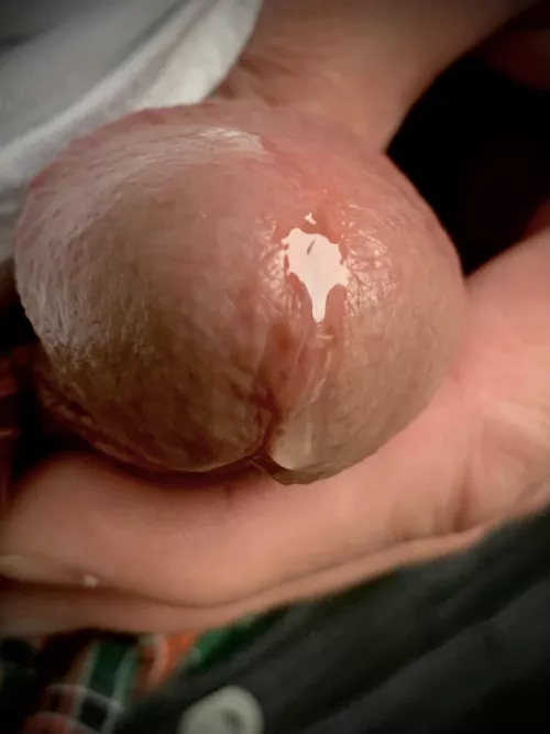 See it glisten in the morning light by Toby1Nekobi