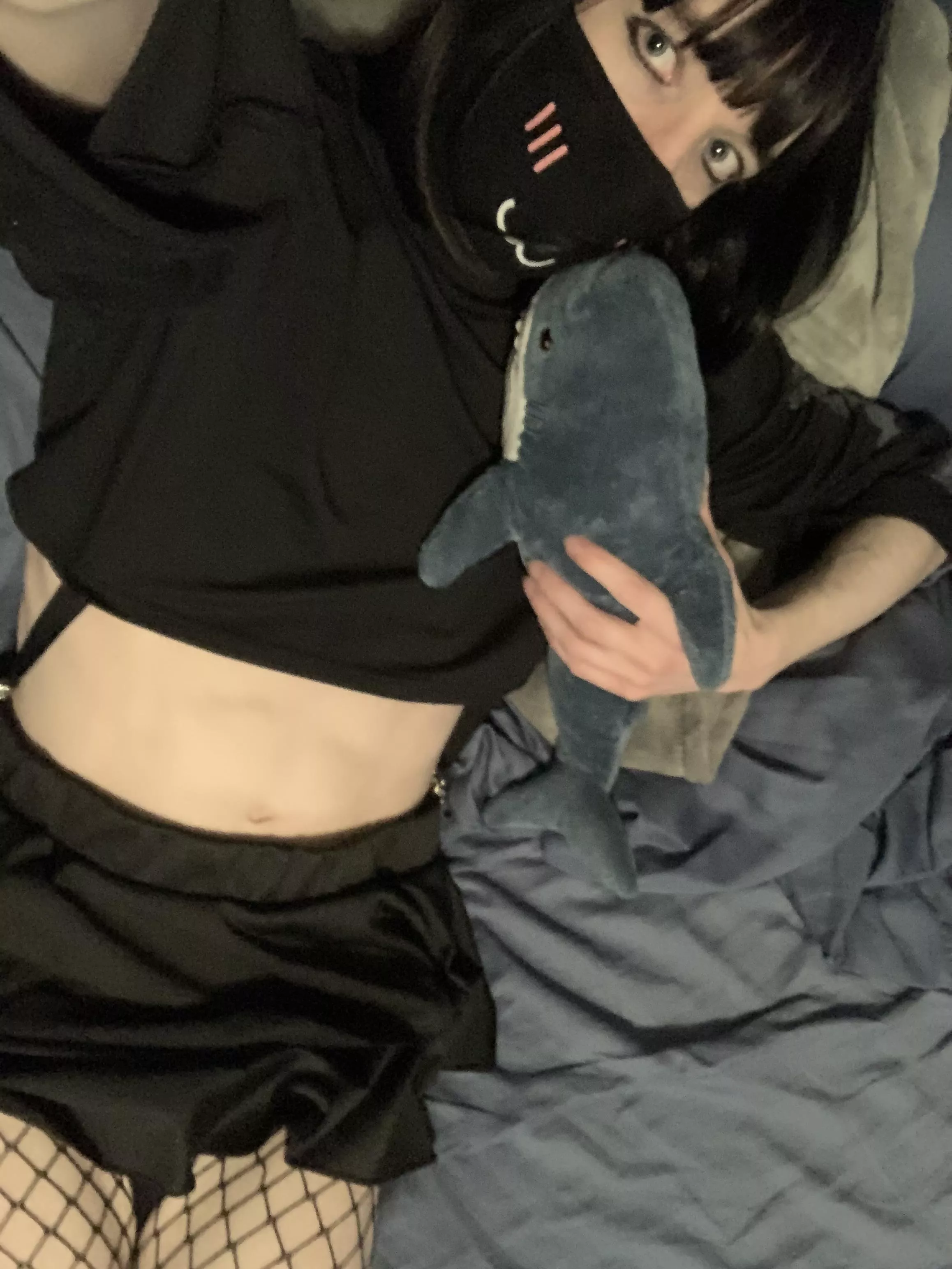 Shy Boy 🦈 posted by PartyVanilla