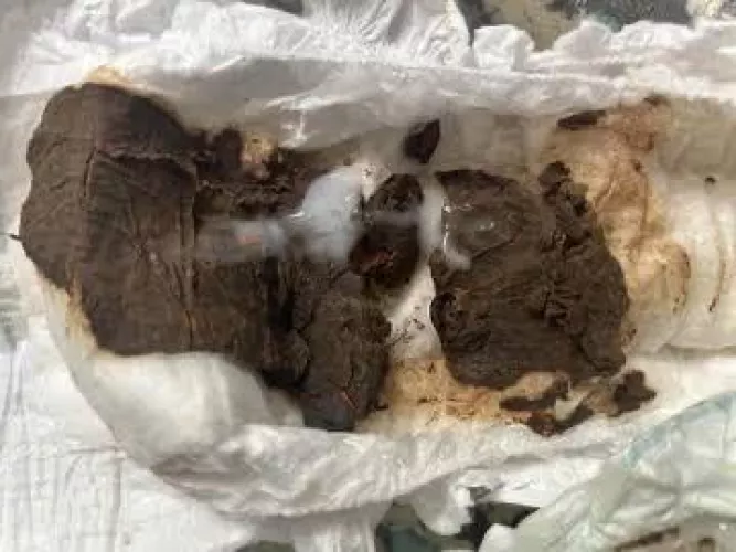 Toilet by gordao_sujo