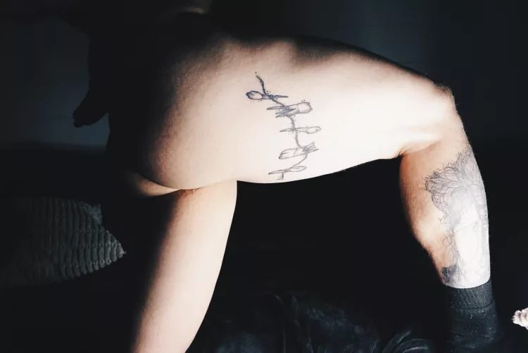 What are fans for? Spotting?  by RemyDecember