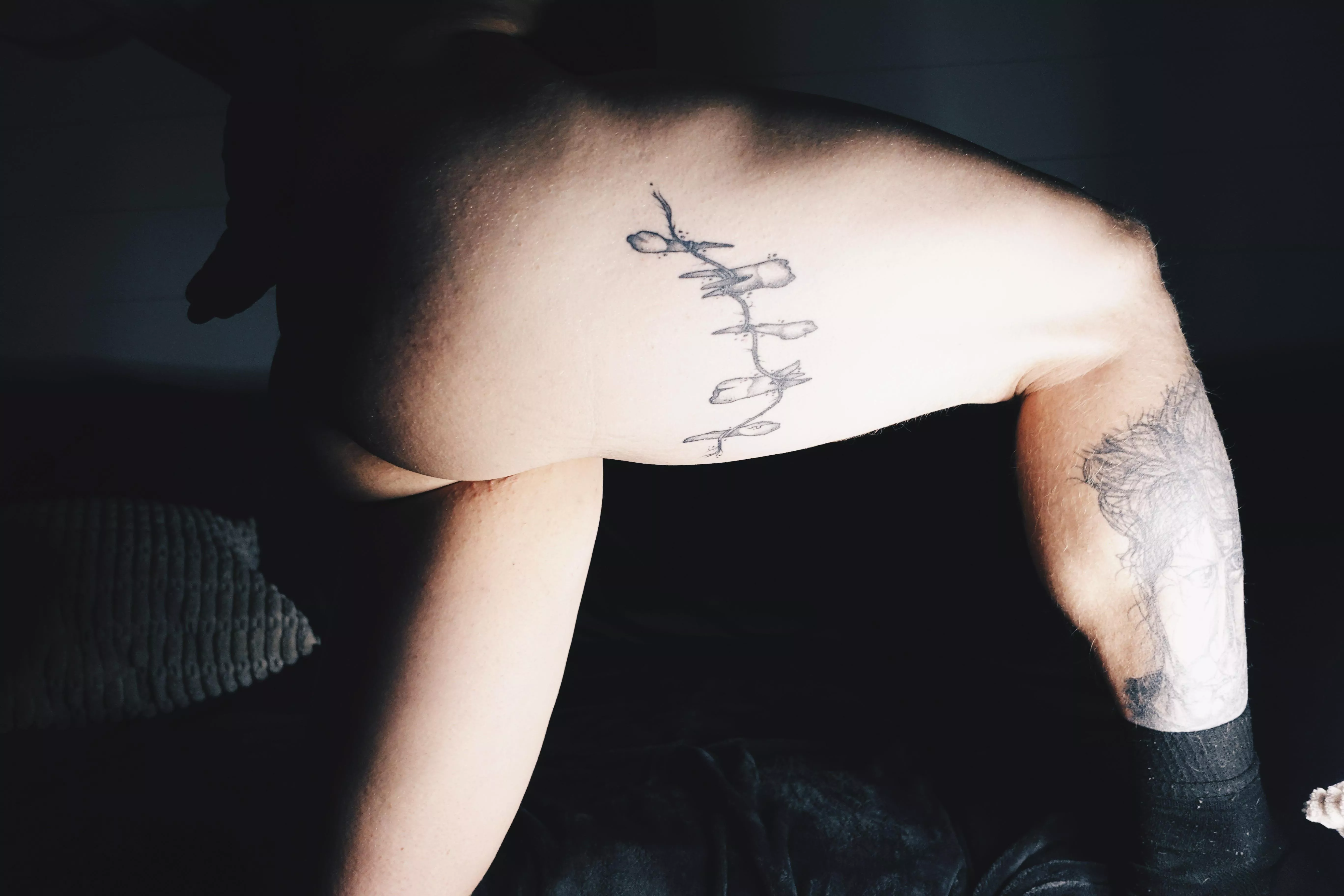 What are fans for? Spotting?  posted by RemyDecember