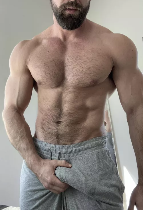 Who doesn’t like some grey sweatpants by Low_Lavishness_1332