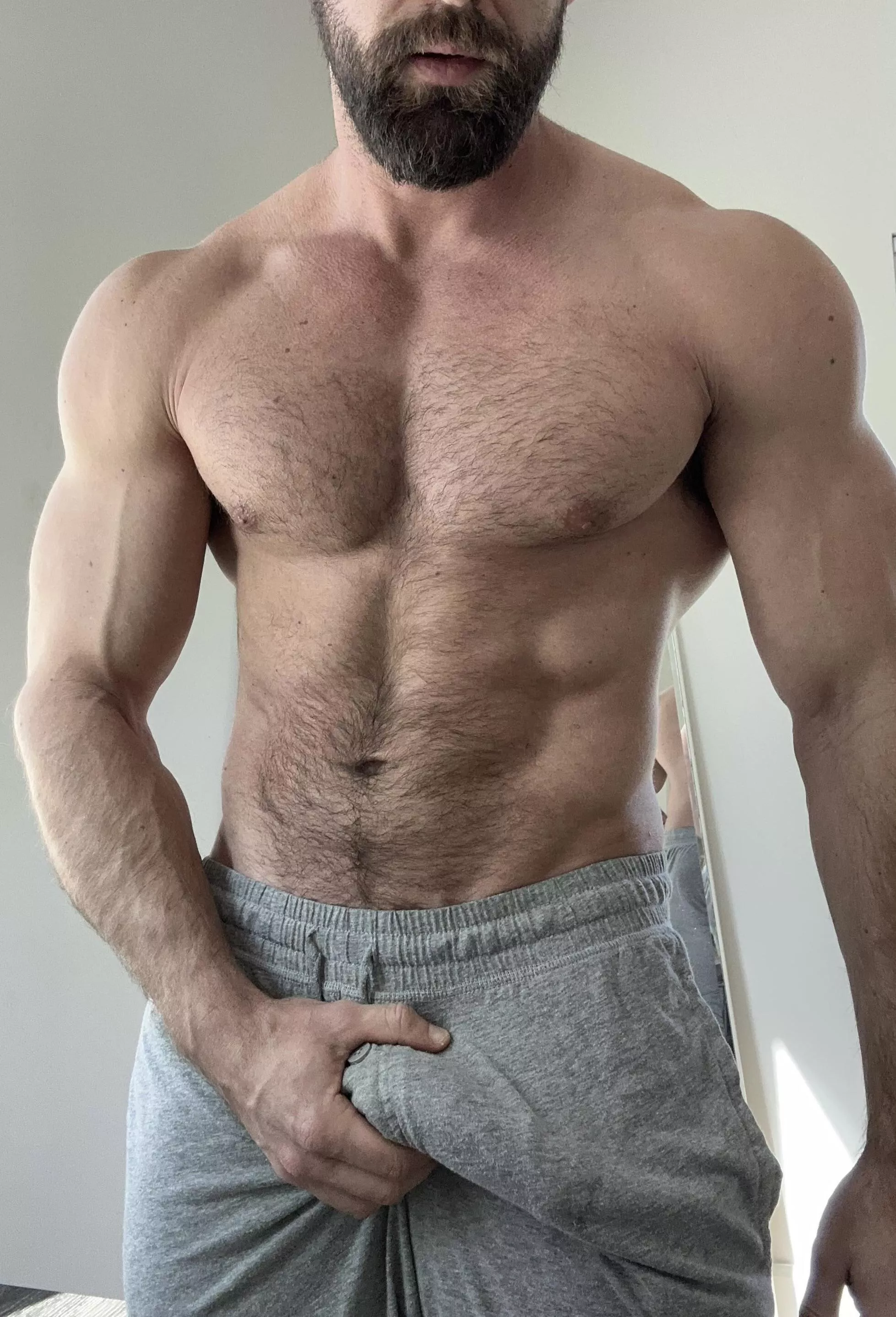 Who doesn’t like some grey sweatpants posted by Low_Lavishness_1332