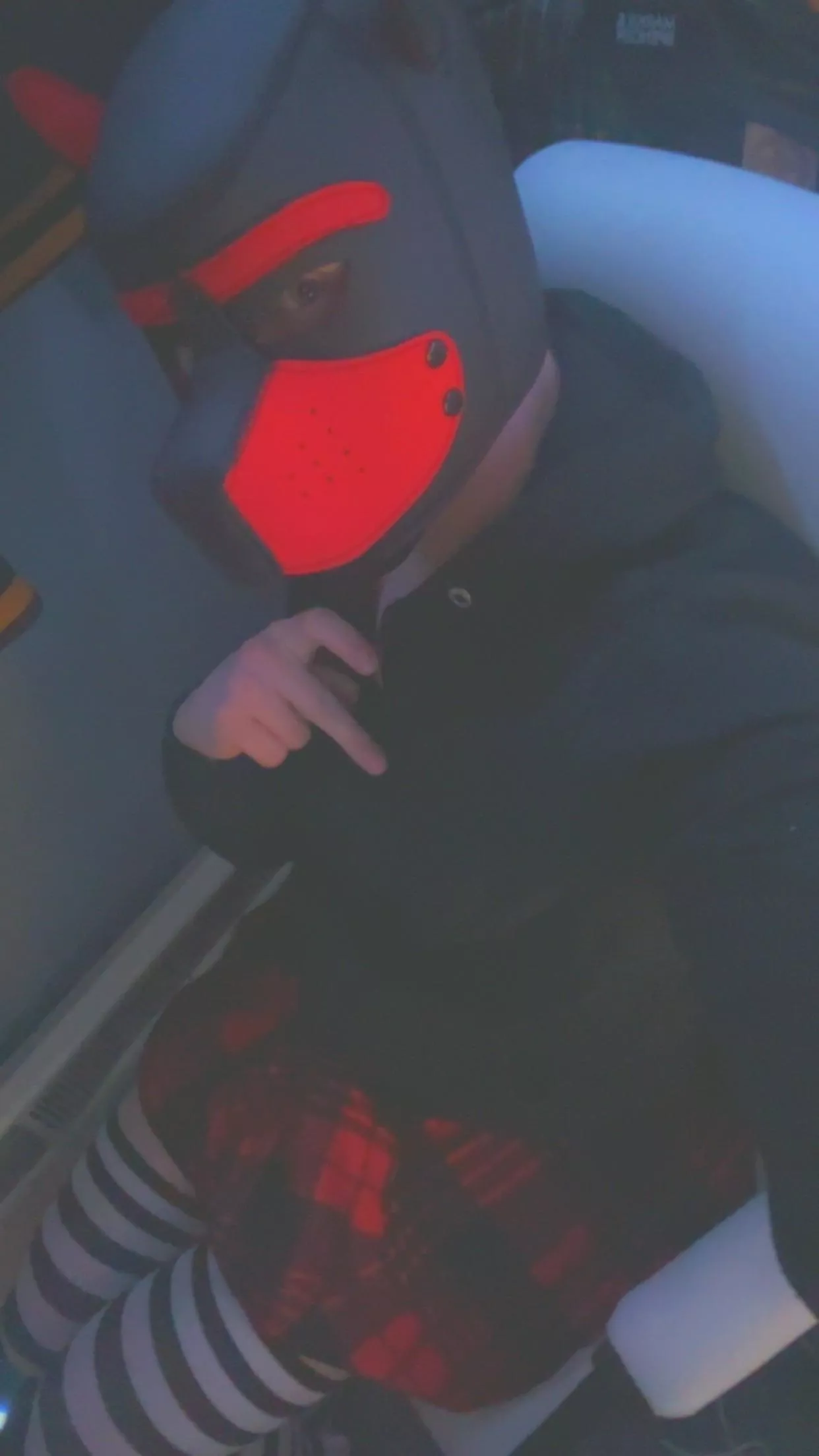 Who likes cute fem pups posted by watermelon_sissy