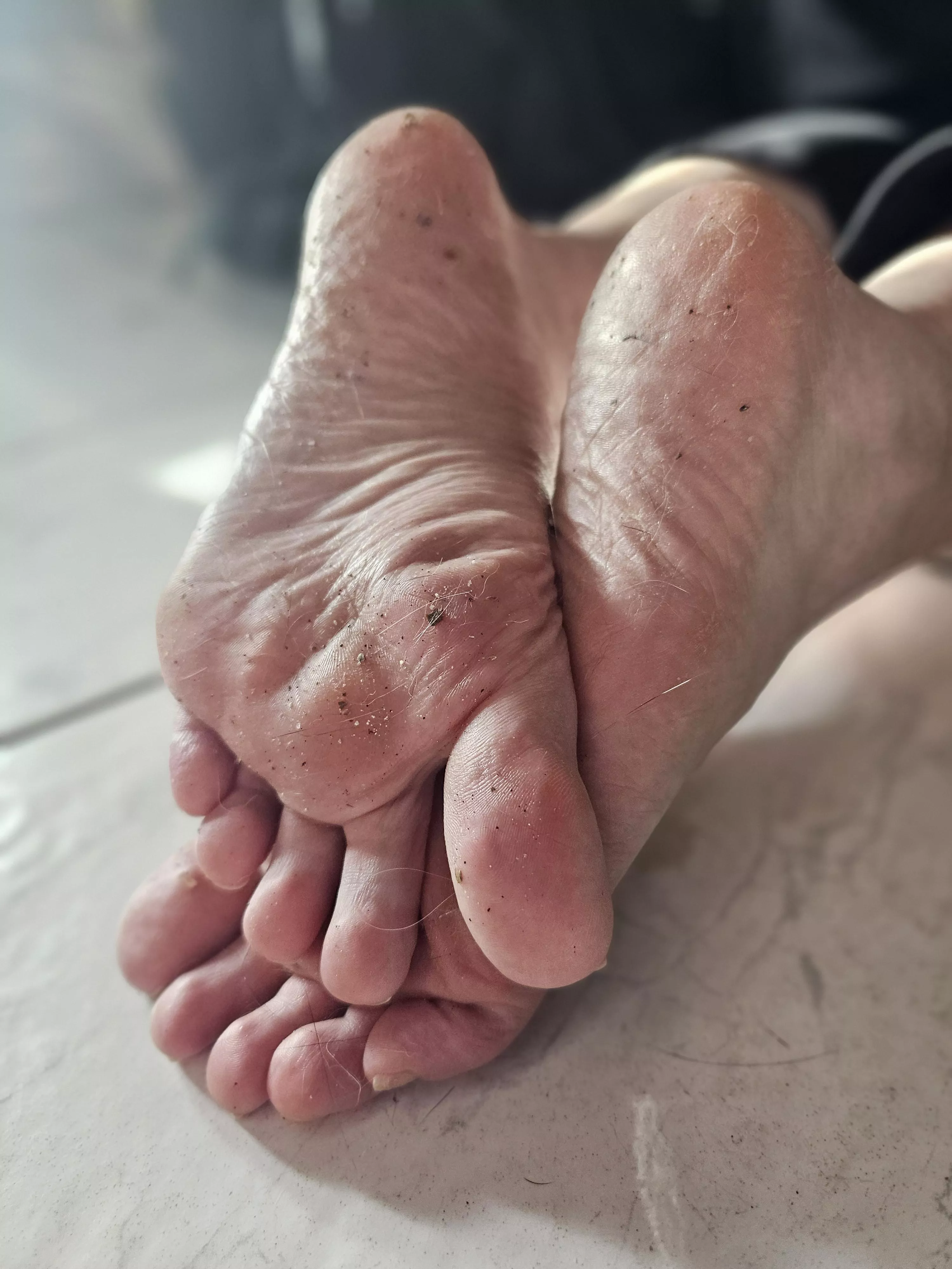 Who wants to clean them for me  posted by KatsLuckyPaws