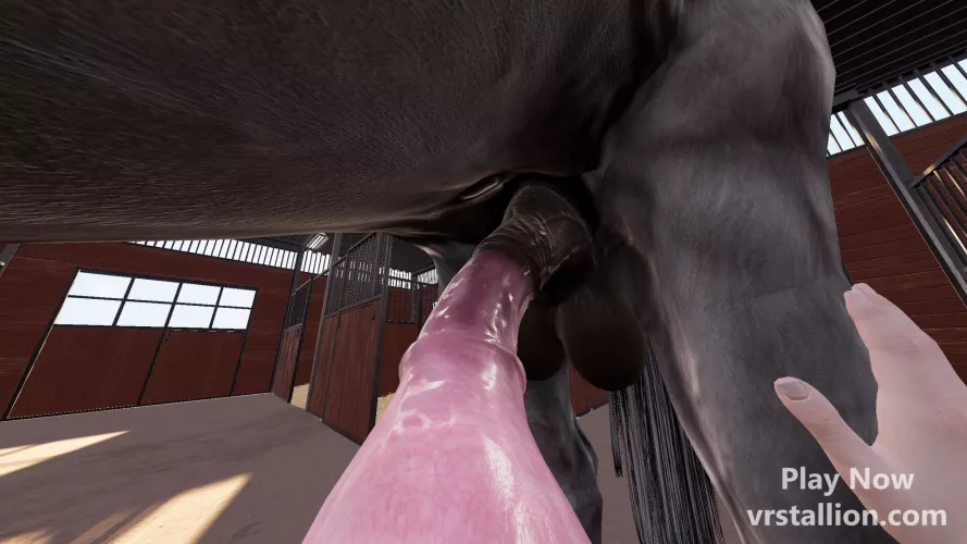 Who's Next? (VR Stallion) by VRStallion