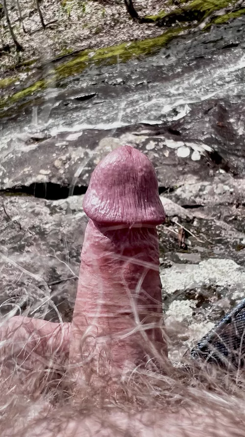 Bate in the woods by Allen19482