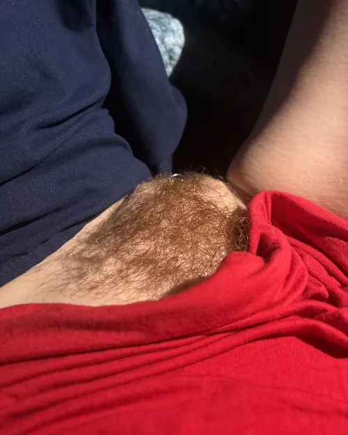 bush in bed 🚨 by redhotpearlx