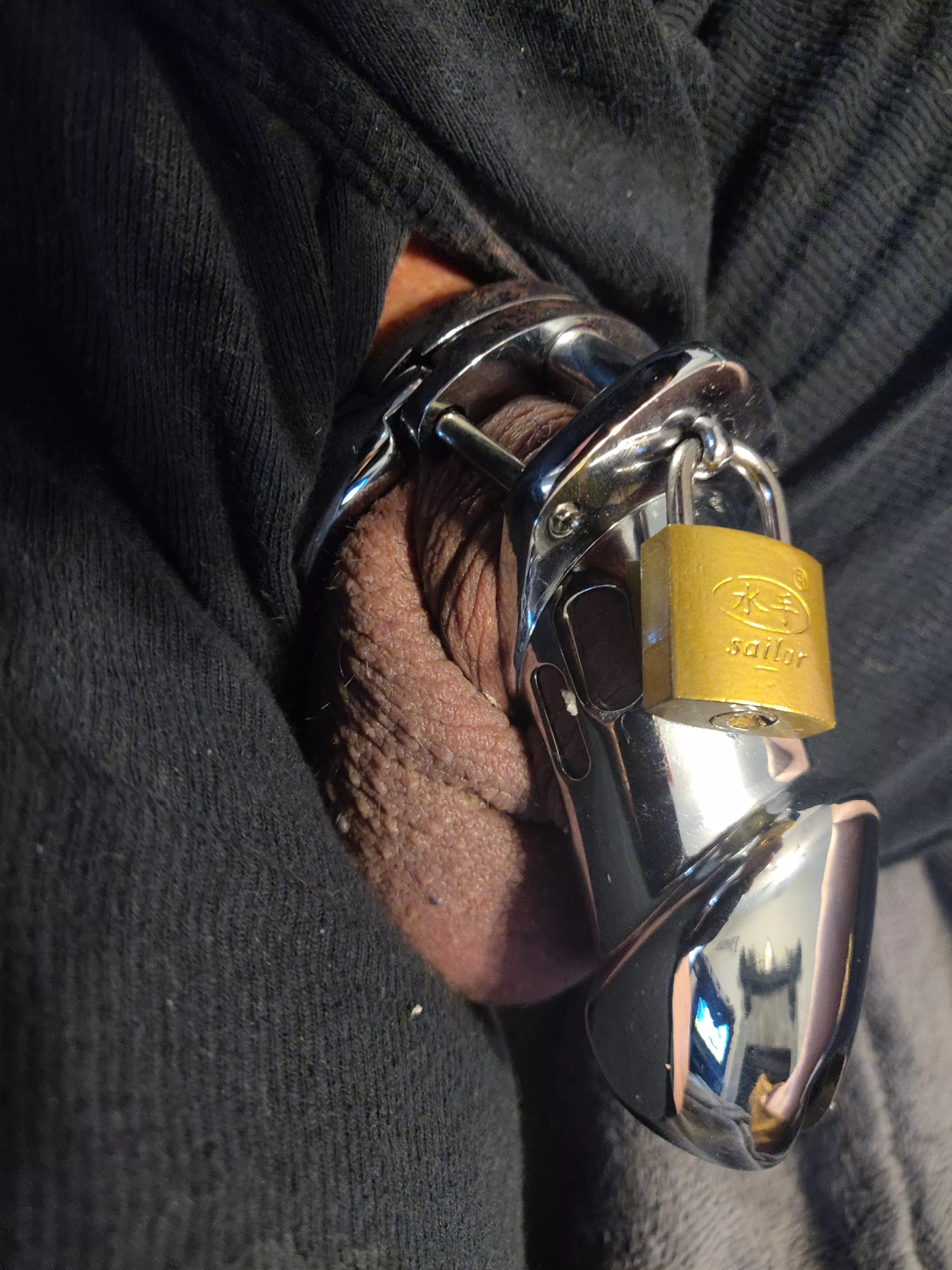 Caged, now all I need is to be fucked posted by Ok-Diamond-3664