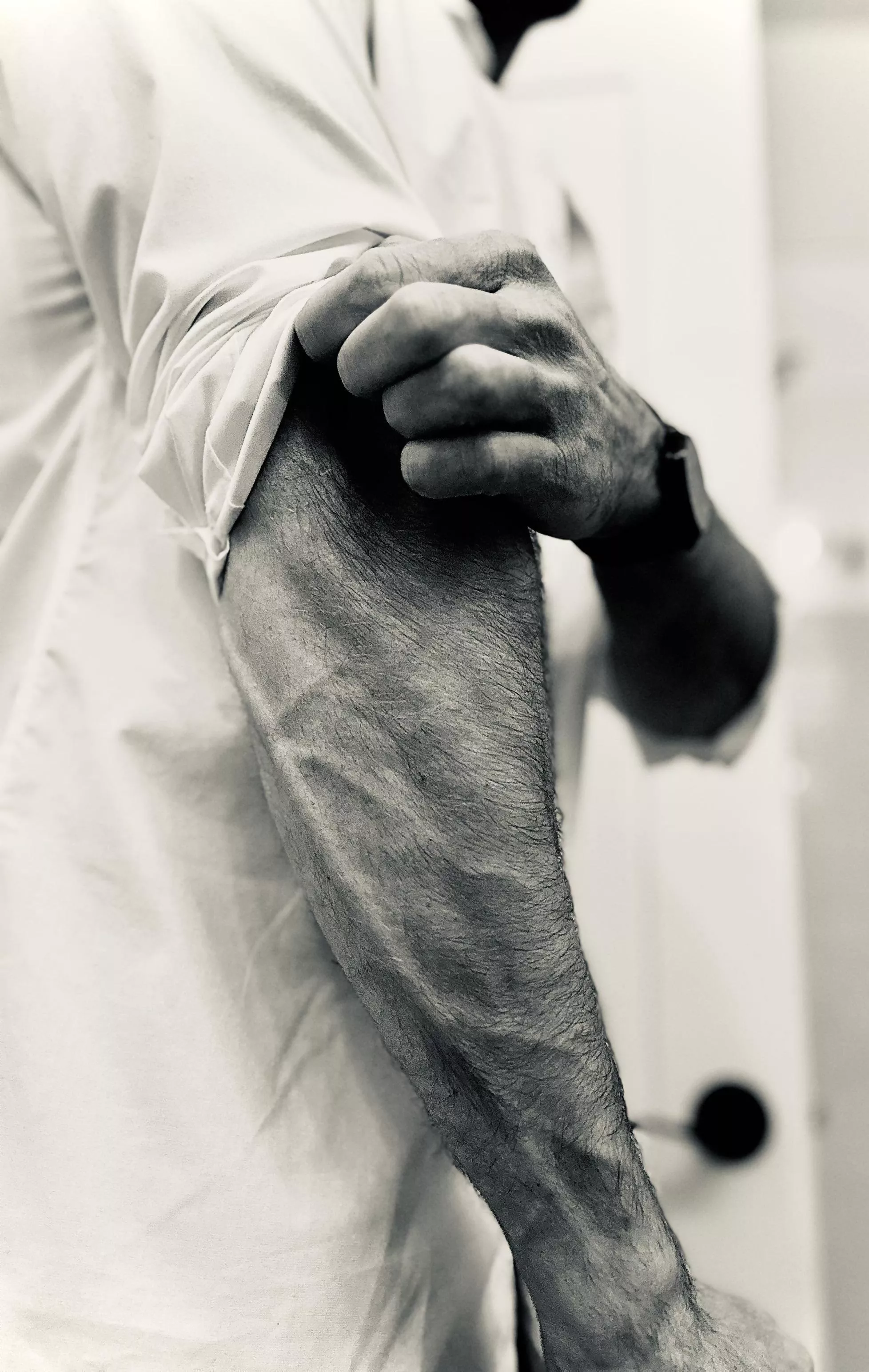 Came Out Swinging posted by Fenrir-Wolf-77