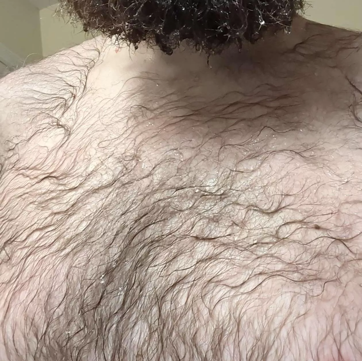 Caution: wet fur posted by HairyBubba1
