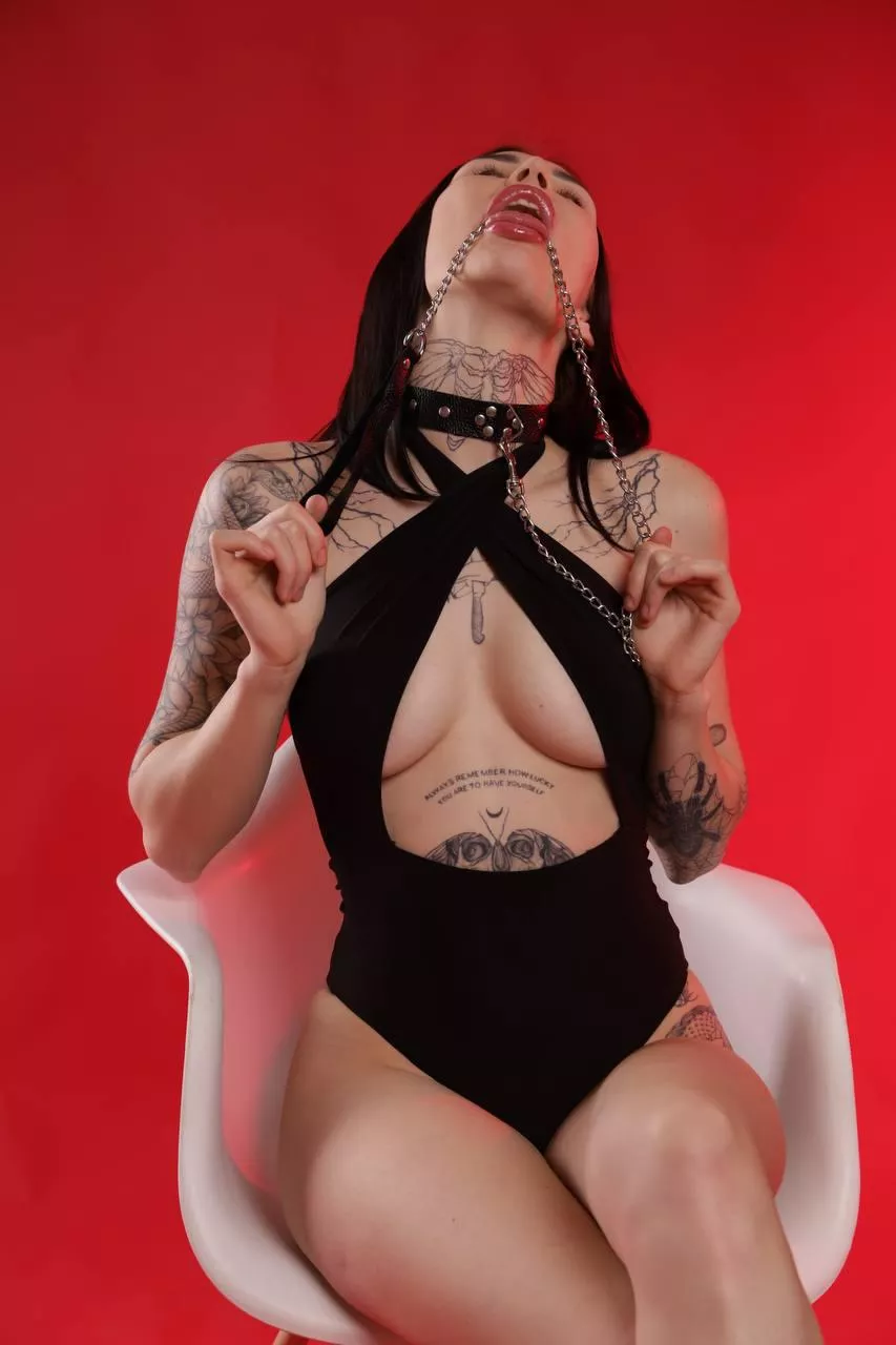 collar is my passion posted by Wacky_Elevator_