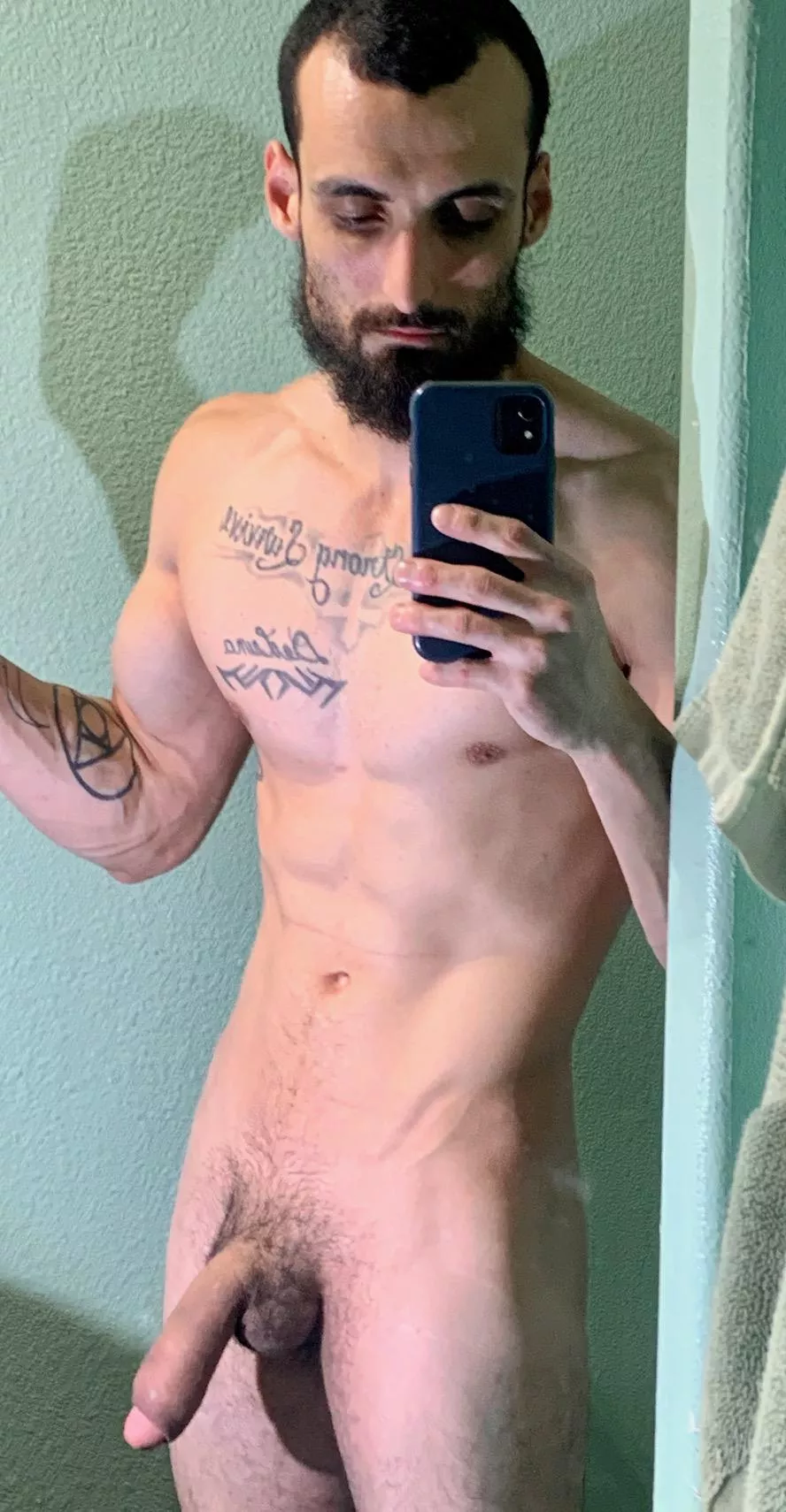 
Dinner is served [m]
 posted by Additional_Example93