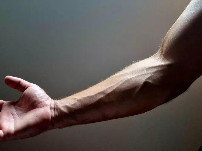 Do prominent veins add or detract from a visual aspect? by AussieHobbit1997