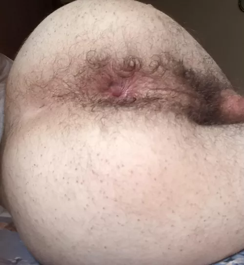 hairy and sweaty  by Practical_Phrase_720