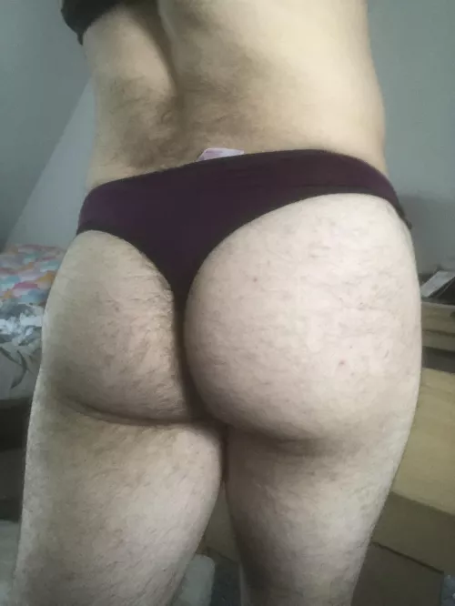 How do they look by Holmes224466