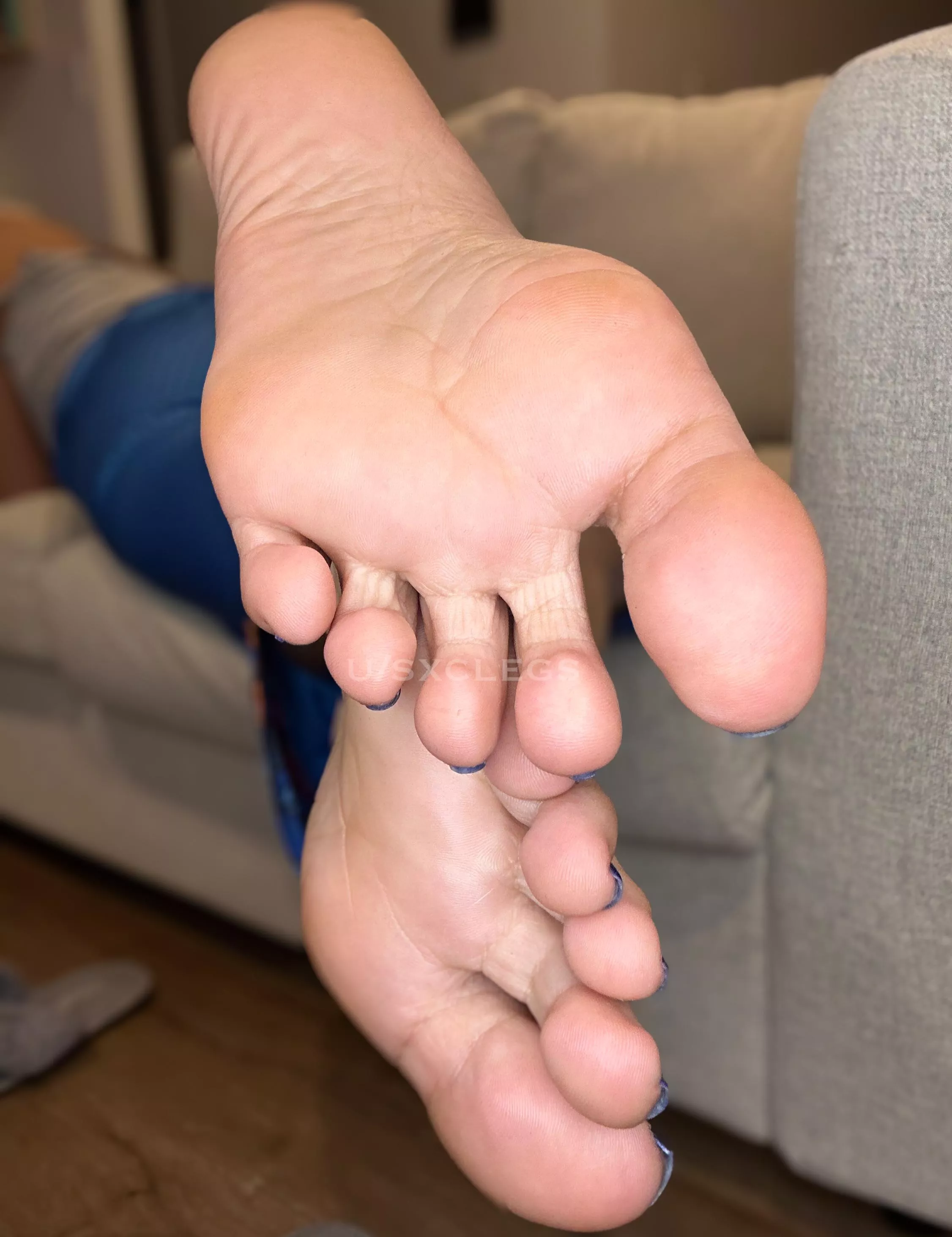 I want you to gently lick and kiss my feet 🤍 posted by Sxclegs