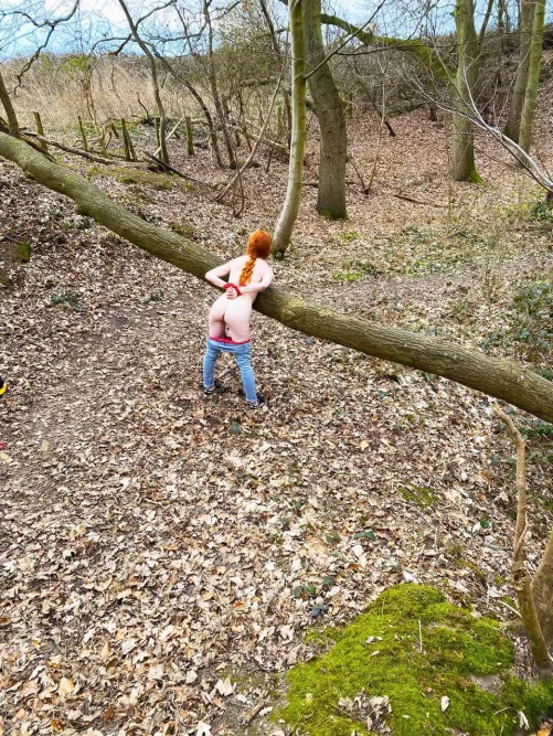 If you go down to the woods today... 😳 by lilymaygirlx