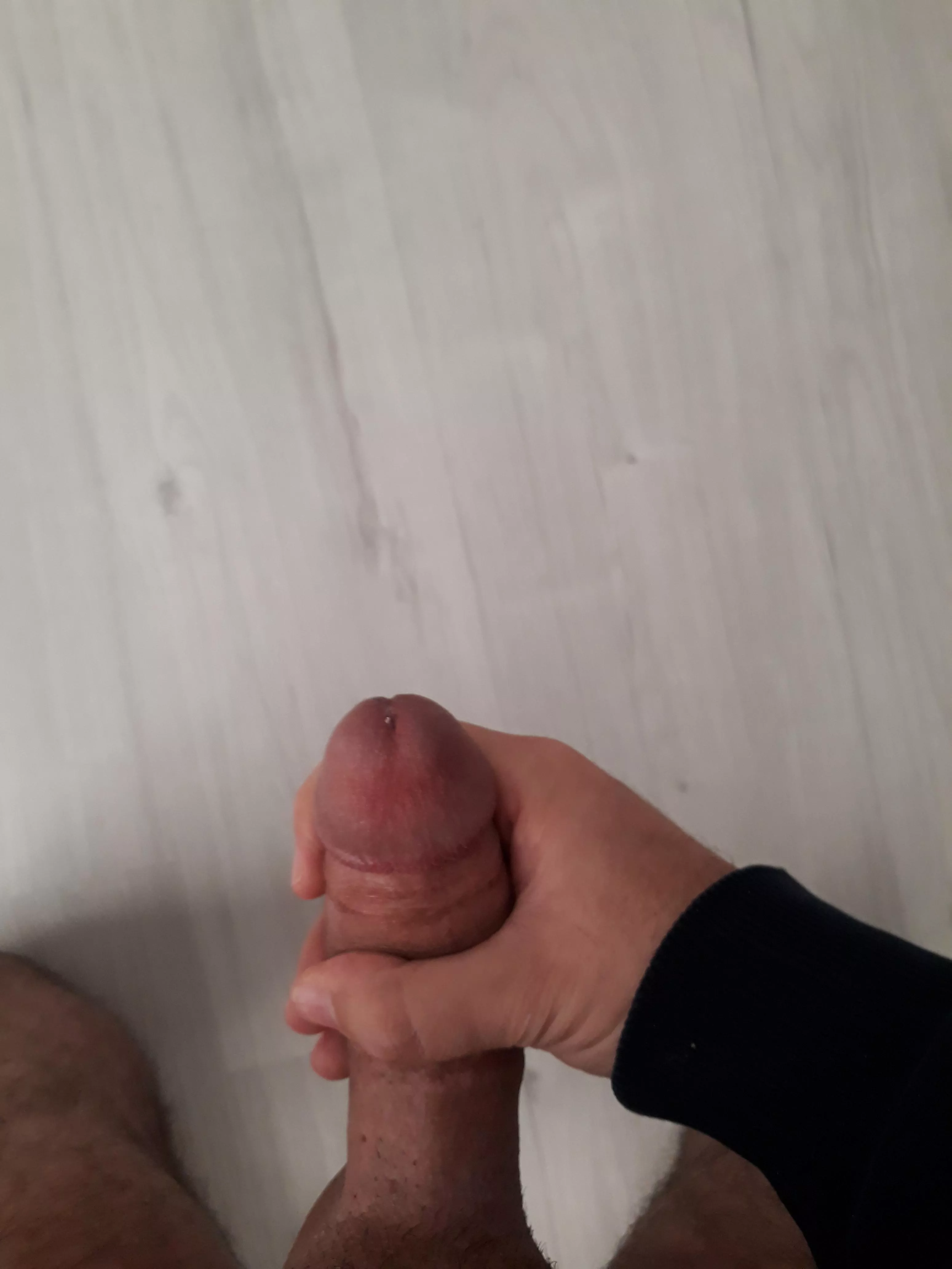 Is there a submissive who wants to play? posted by hugetomcat2