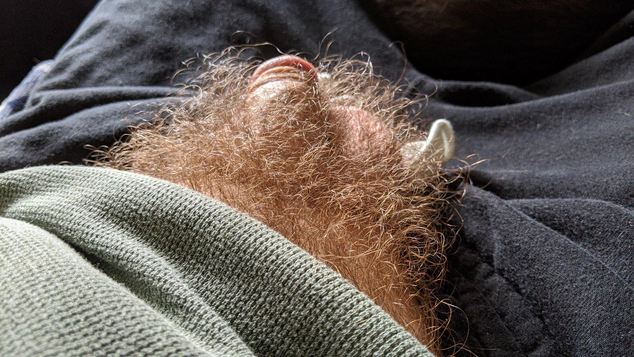 It's a jungle down there  posted by SubTop86