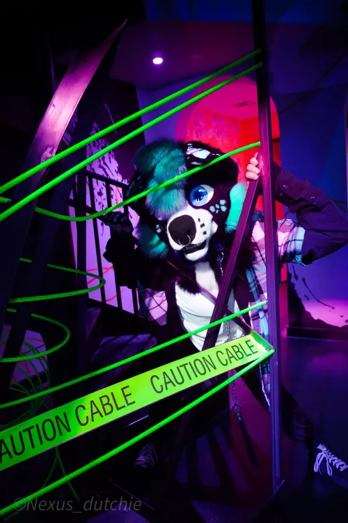 Looks like there’s a scary dog ahead. (What do you do?) by Tobi_The_Wah