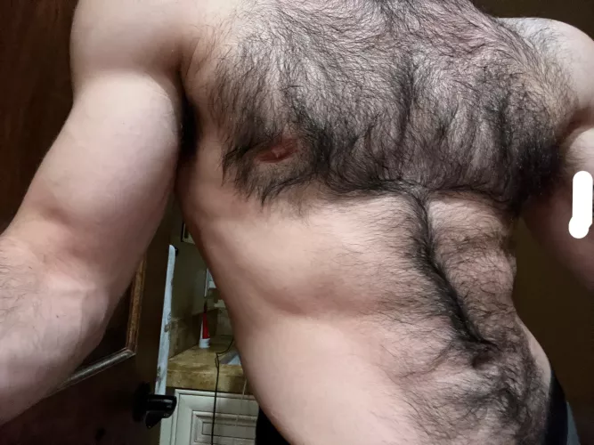 Lots of hair by ProPace187