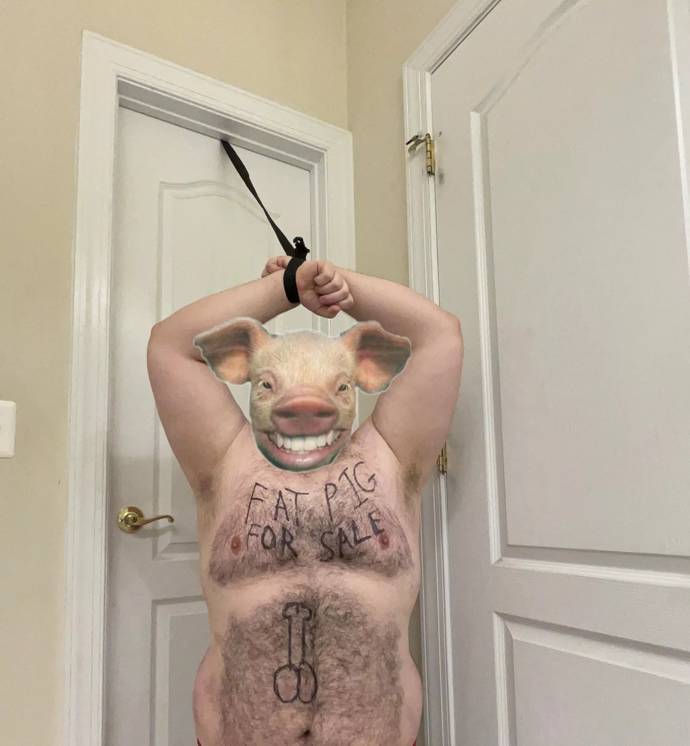 Pig for sale anyone interested. posted by bdsmsrg