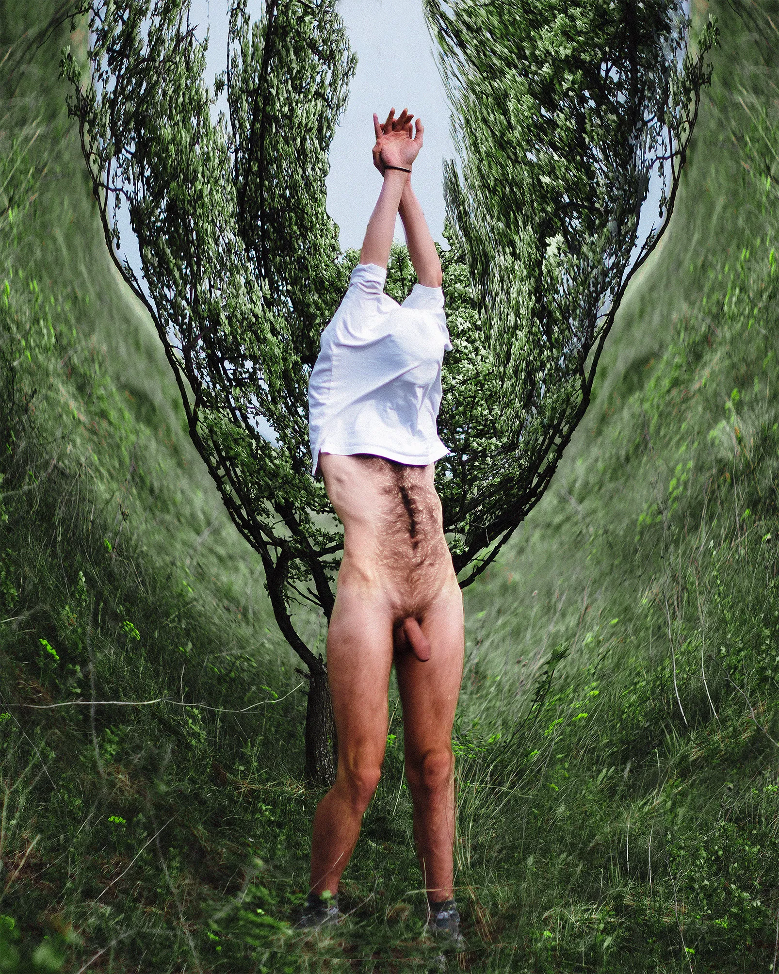 Plunge into the world of wild nature posted by altqex