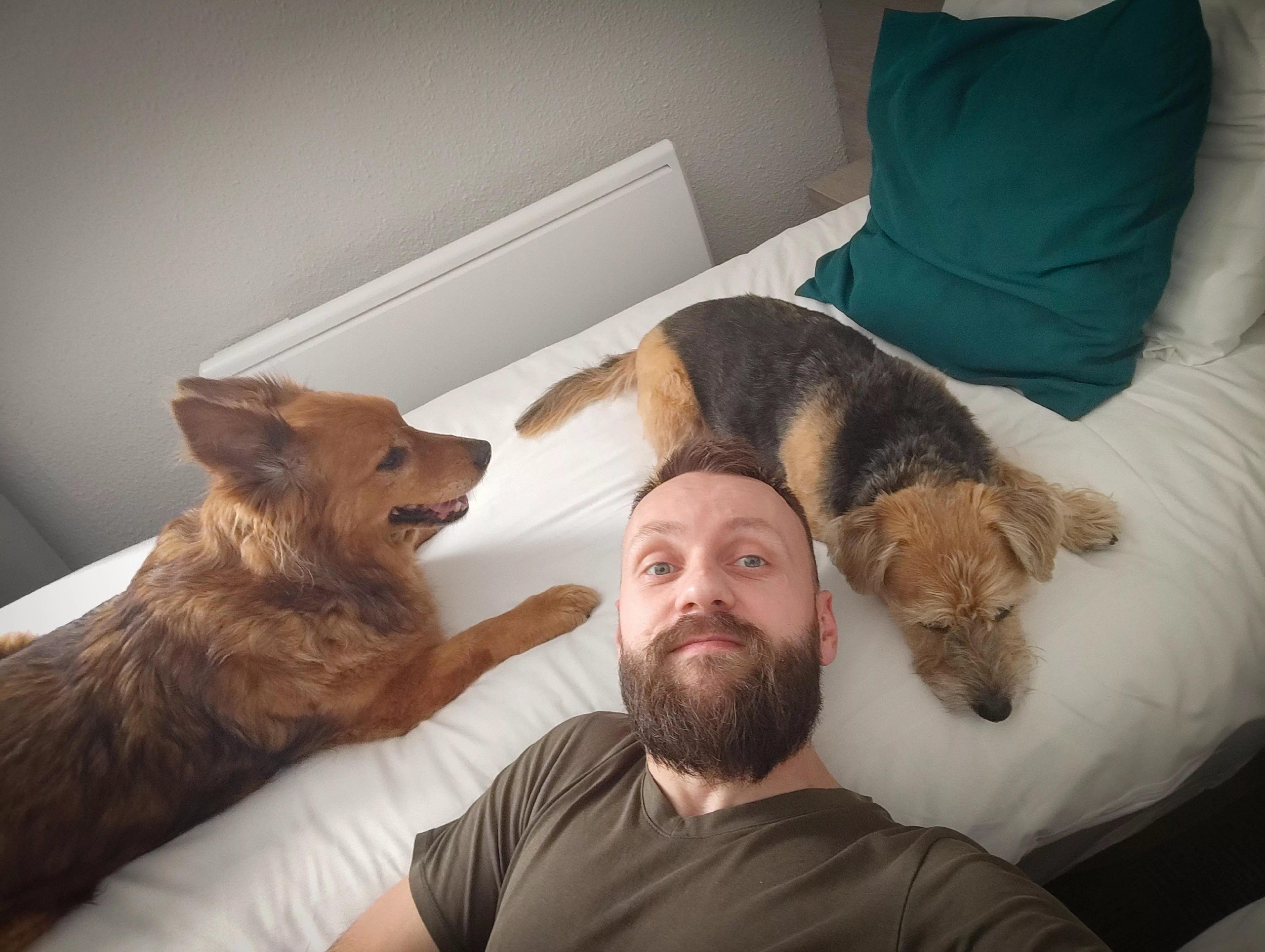 Selfie with our kids 🐶🧔🏻‍♂️🐶 posted by BeardWoof1337