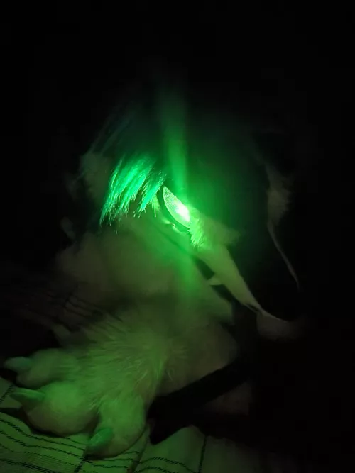 Sleeping Well? by xXSpartan92Xx