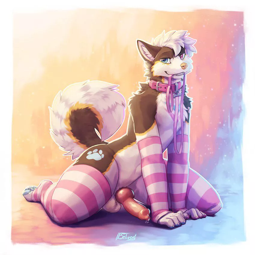 This Husky is ready for some walkies... are you?~ (belvor) [M] posted by Bisexual_InSecret428