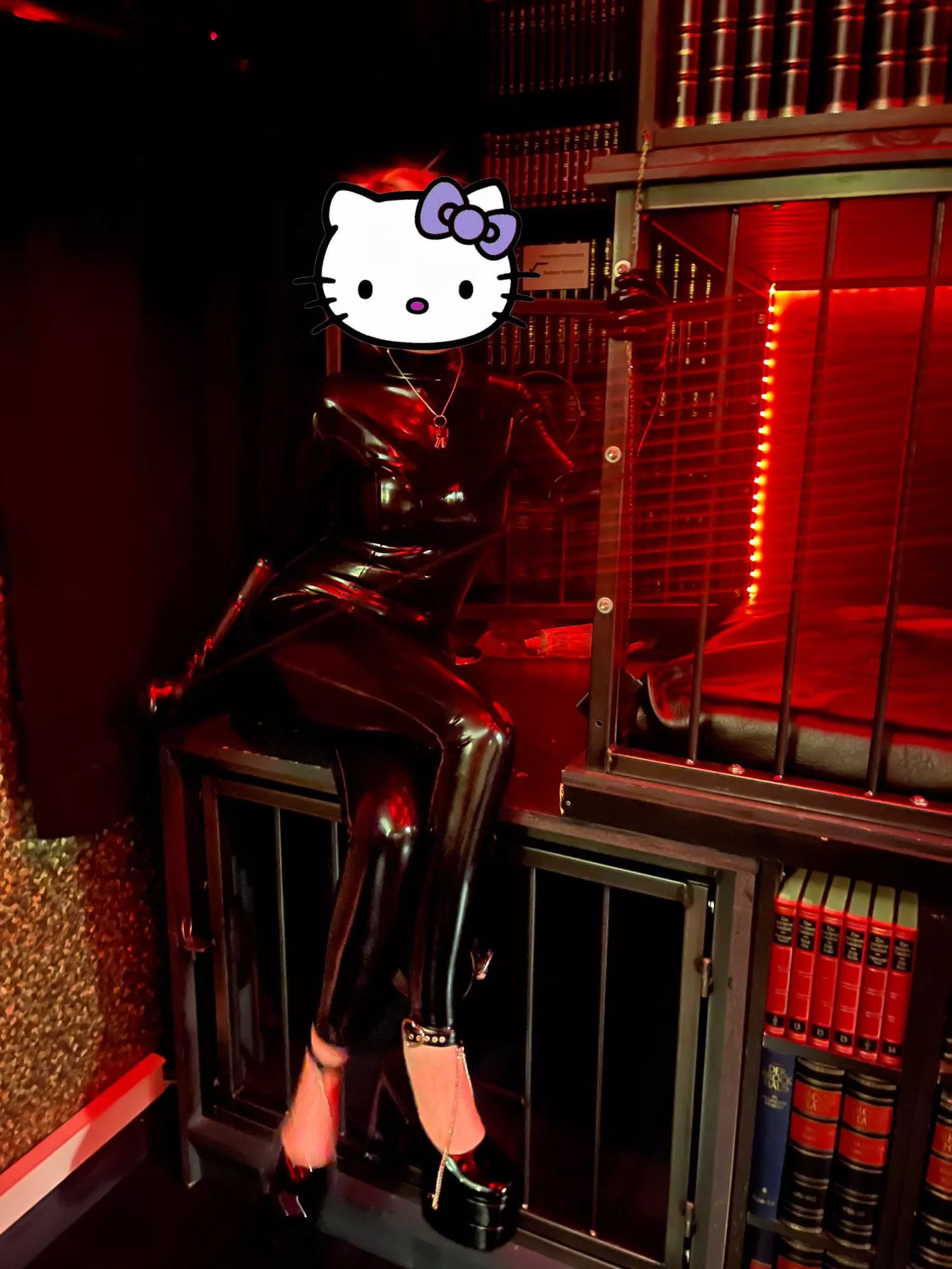 This is where you’ll sleep from now on. posted by Mistress_KittyCat