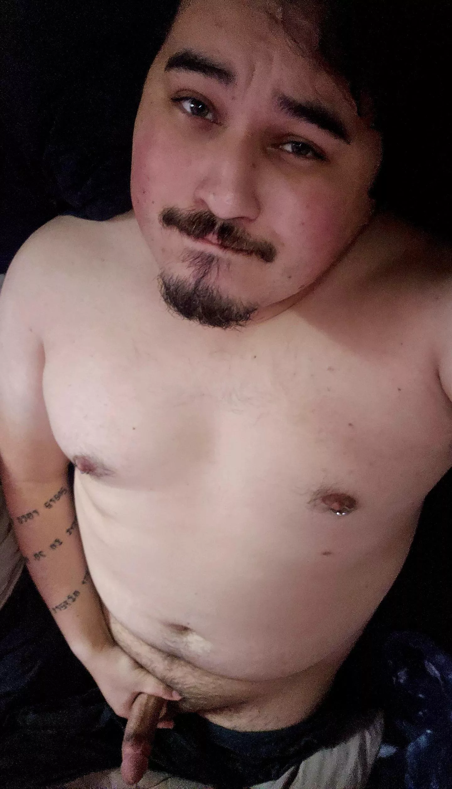 Wanna cuddle up and watch Dune? posted by BontuisBaee