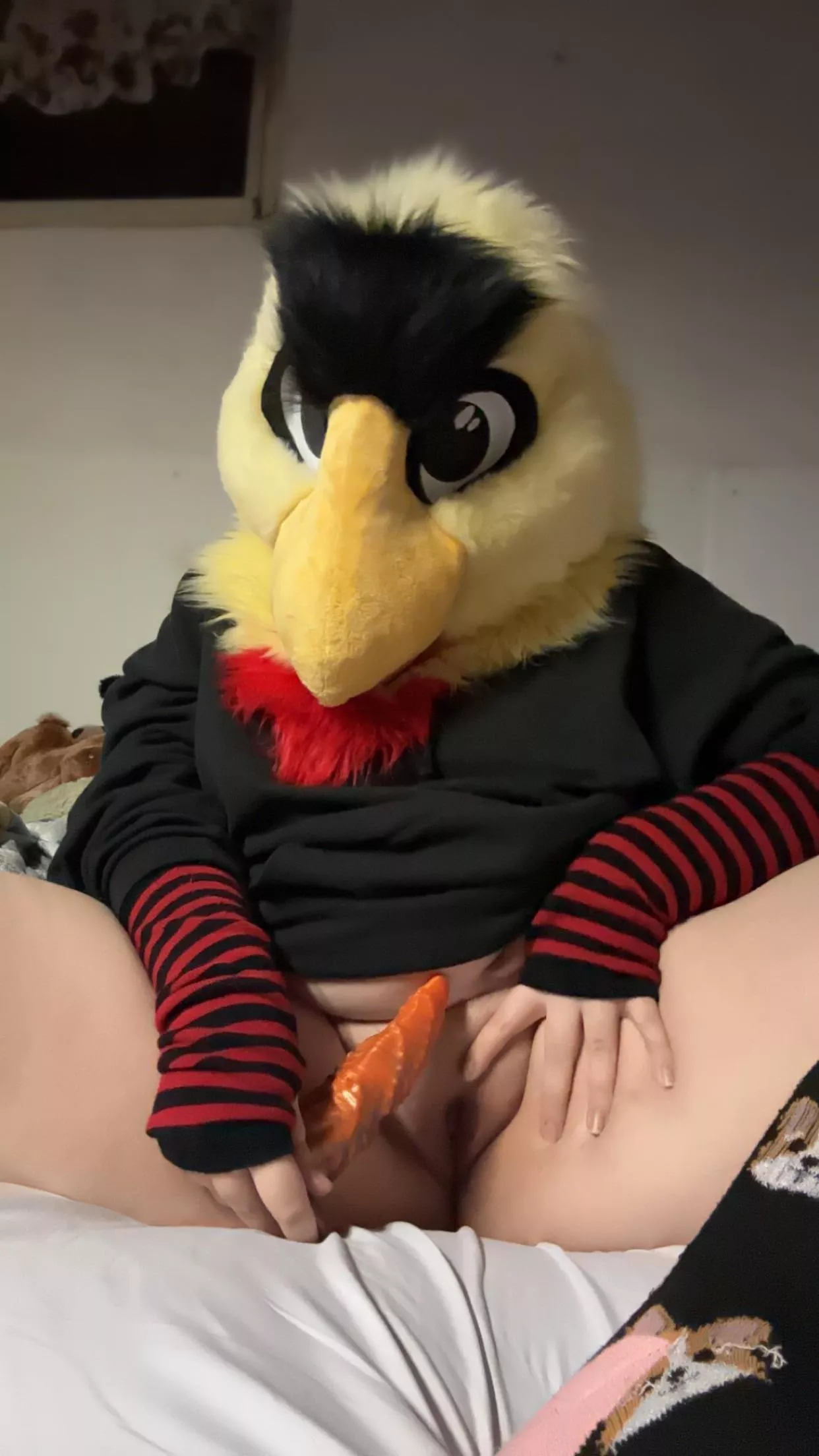 Wanna see me put it in? 😜 {he/she} posted by Feelings-101