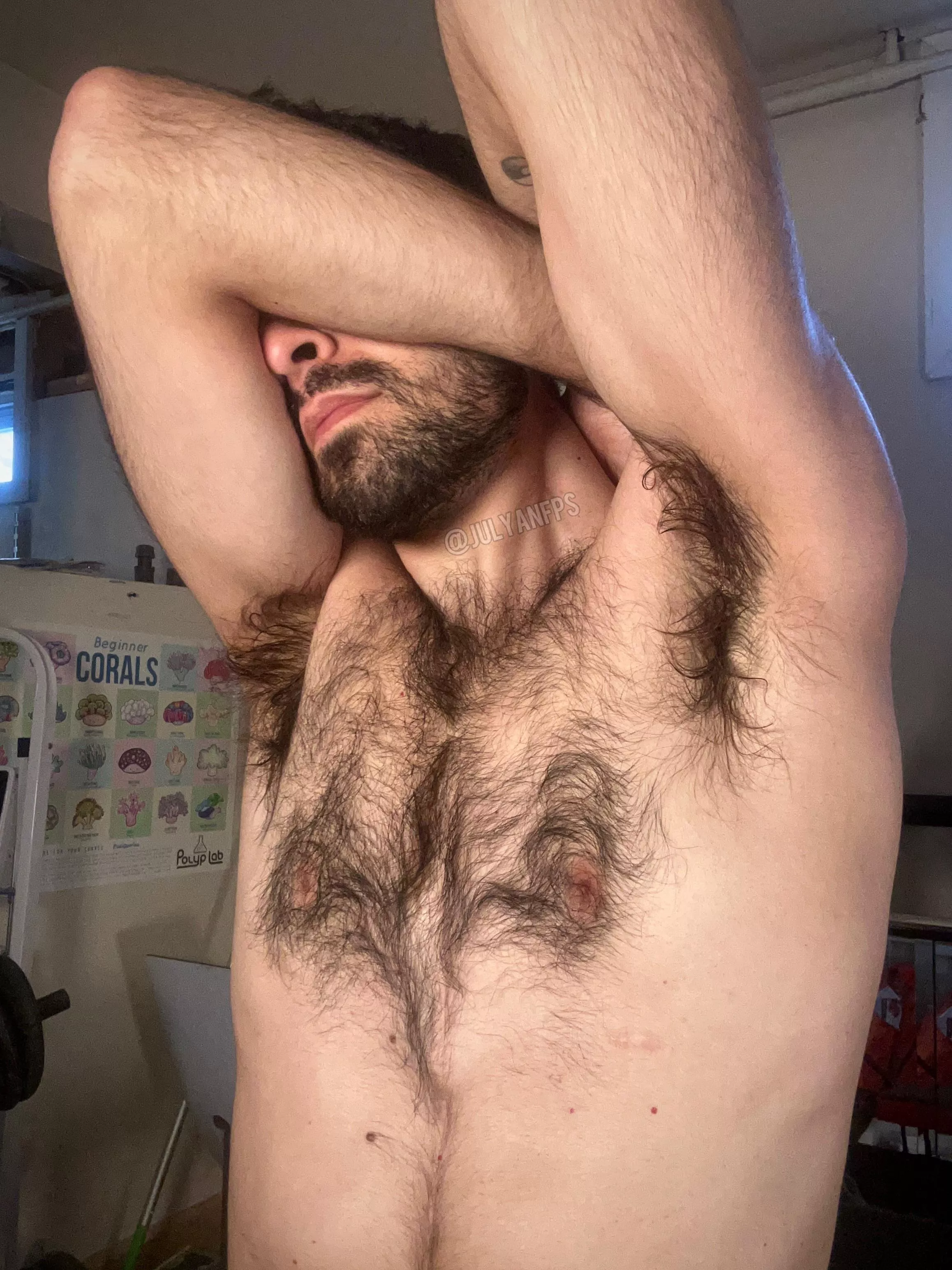 Where would you cum on me? posted by julyanfps