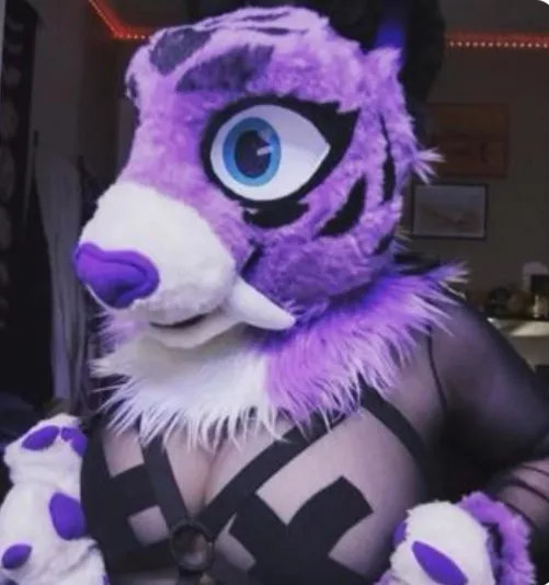 $2 titty pics $4 kitty pics by Pancake_paw