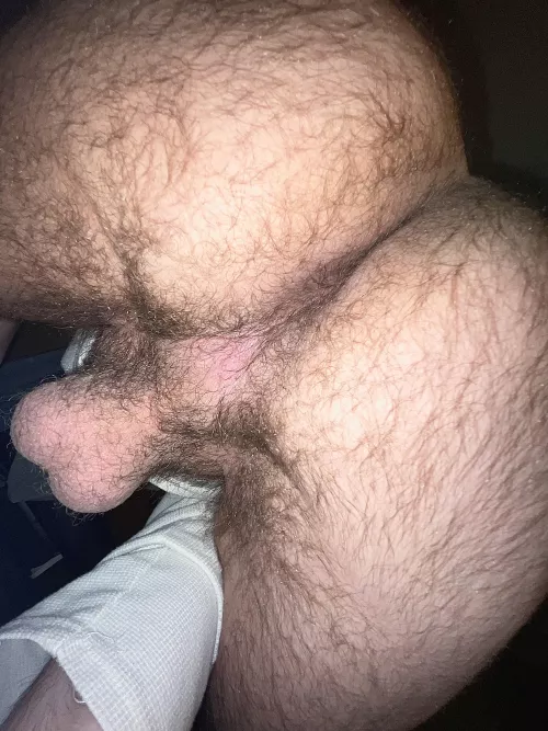 Can you drain these balls by fucking my ass? by Jolly_Hat_6560