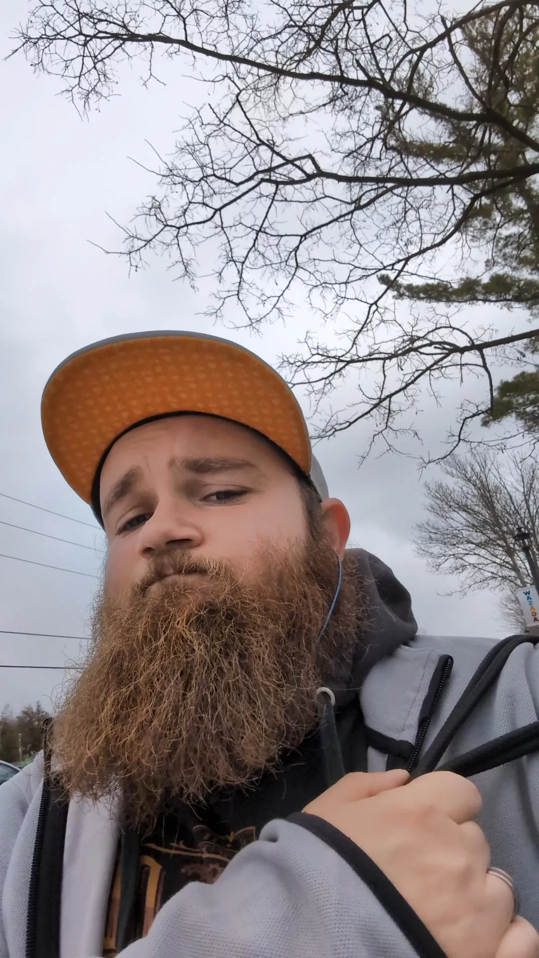 Caught a good angle on my walk to work  posted by UnderDragon