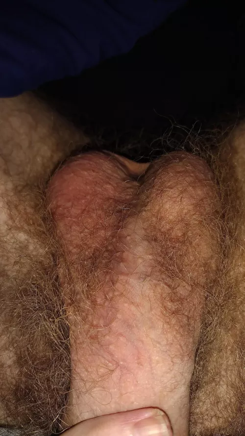 Clean my hairy ripe balls before I fuck you. by KinkTwinkOtter