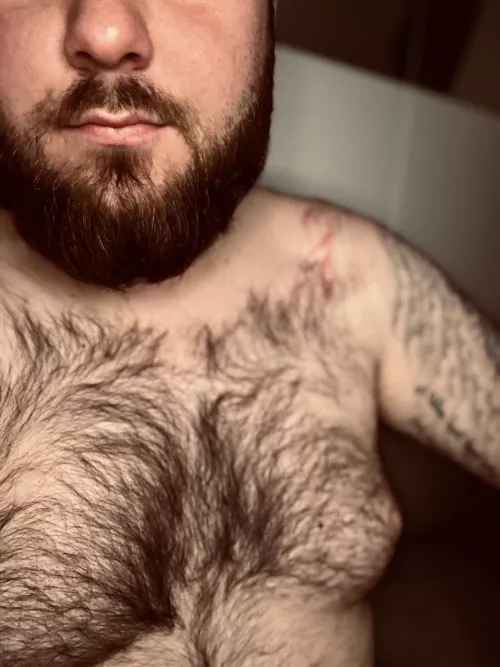 Come and feel safe with the bear  by Brett_The_Bear