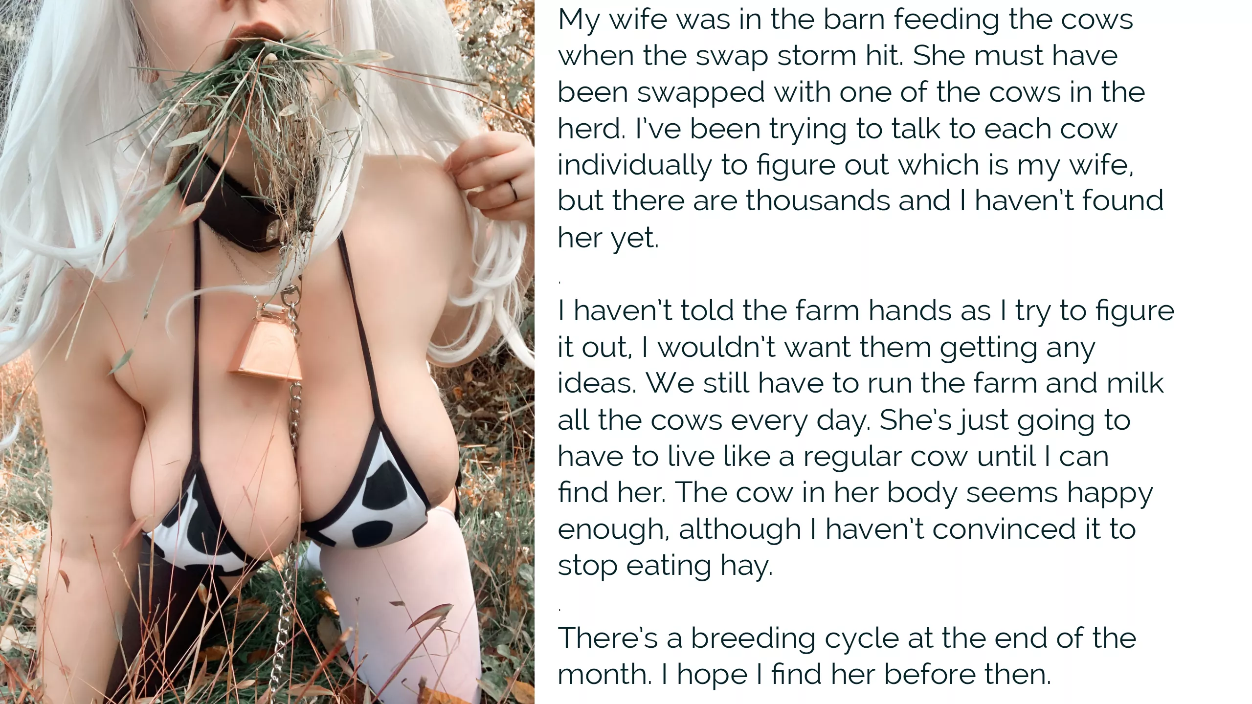 Cow Storm posted by Mountain_Son