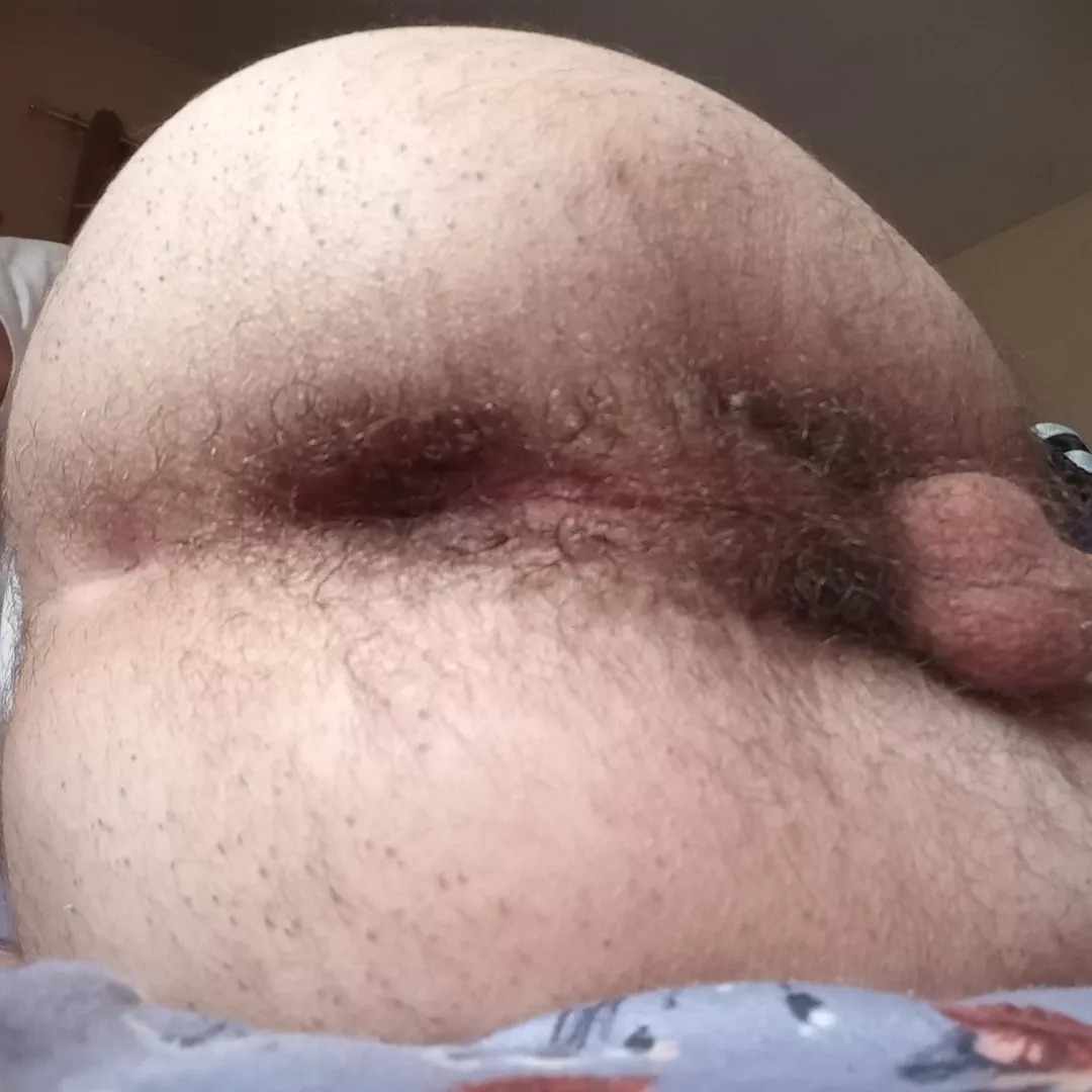 cum play with my hairy hole  posted by Practical_Phrase_720