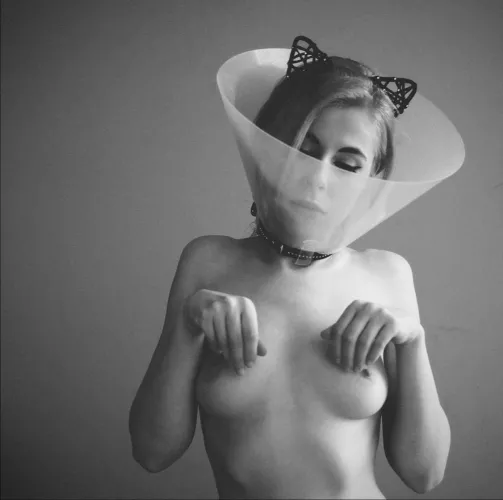 Does anyone know the source for this? by Admiral_dodo