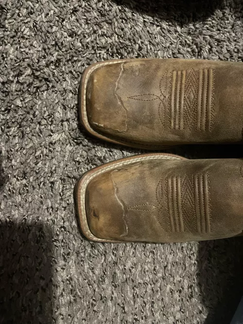 Help by Efficient-Cap-1138