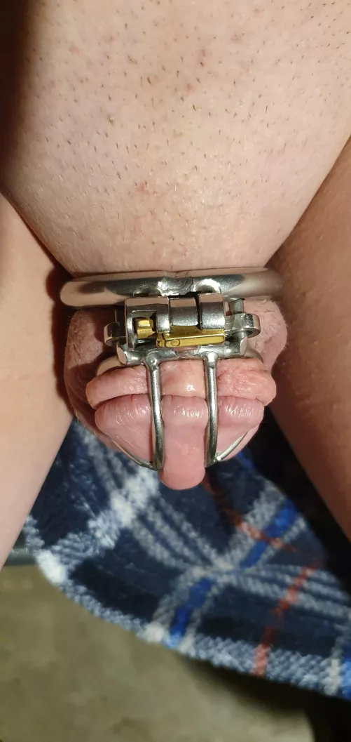 Her rules scare me a little  by shitsandgigssss