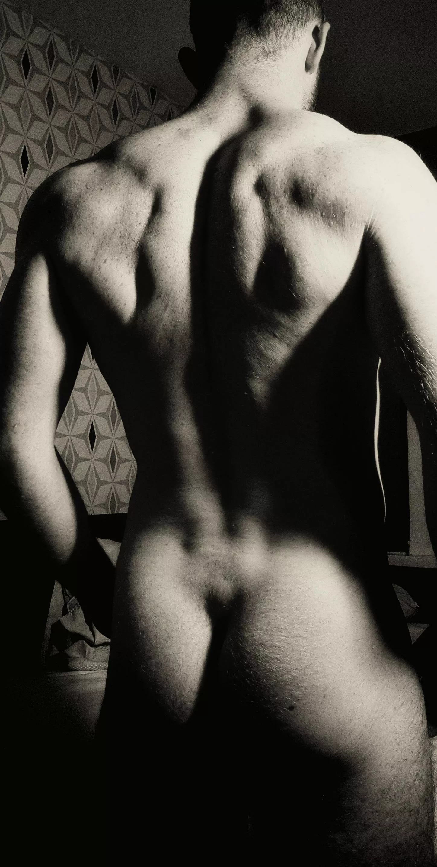 Here's my back which may be fun to practice shading with posted by Fireshine91