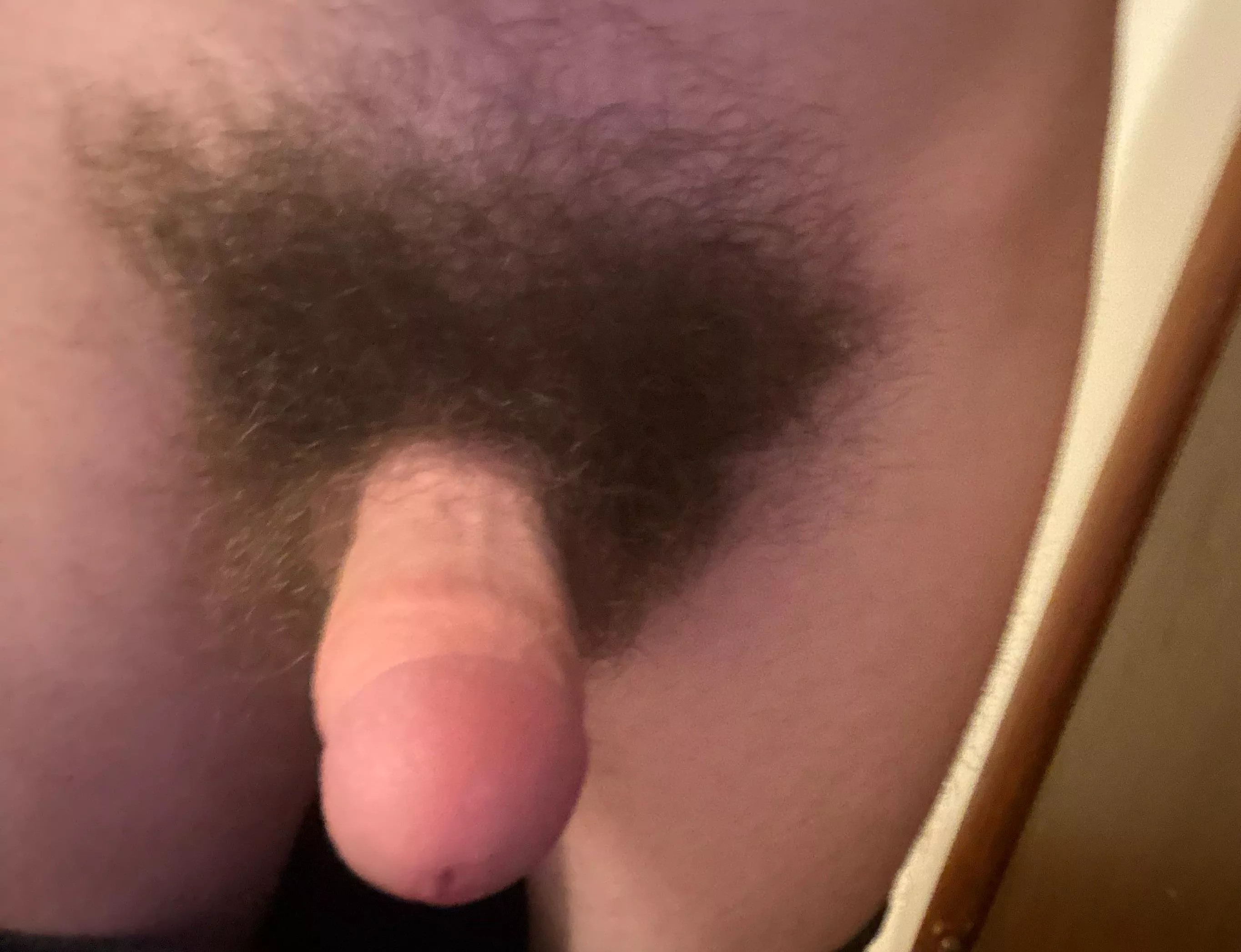 I’m so horny posted by Competitive_Set_1656